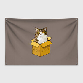 Флаг-баннер с принтом Maru в Белгороде, 100% полиэстер | размер 67 х 109 см, плотность ткани — 95 г/м2; по краям флага есть четыре люверса для крепления | cat | maru | коробка | кот в коробке | кот мару | котейка | кошка | мару | прикол