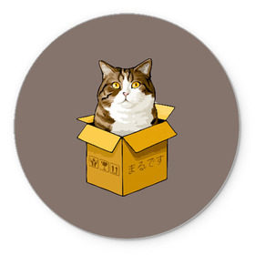 Коврик круглый с принтом Maru в Белгороде, резина и полиэстер | круглая форма, изображение наносится на всю лицевую часть | cat | maru | коробка | кот в коробке | кот мару | котейка | кошка | мару | прикол