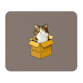 Коврик прямоугольный с принтом Maru в Белгороде, натуральный каучук | размер 230 х 185 мм; запечатка лицевой стороны | cat | maru | коробка | кот в коробке | кот мару | котейка | кошка | мару | прикол