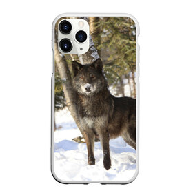 Чехол для iPhone 11 Pro Max матовый с принтом Король леса в Белгороде, Силикон |  | волки | животные | зима | зимние | картинки | снег | фото