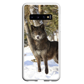 Чехол для Samsung Galaxy S10 с принтом Король леса в Белгороде, Силикон | Область печати: задняя сторона чехла, без боковых панелей | волки | животные | зима | зимние | картинки | снег | фото