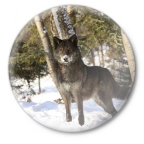 Значок с принтом Король леса в Белгороде,  металл | круглая форма, металлическая застежка в виде булавки | волки | животные | зима | зимние | картинки | снег | фото