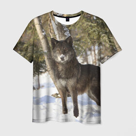 Мужская футболка 3D с принтом Король леса в Белгороде, 100% полиэфир | прямой крой, круглый вырез горловины, длина до линии бедер | волки | животные | зима | зимние | картинки | снег | фото