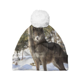 Шапка 3D c помпоном с принтом Король леса в Белгороде, 100% полиэстер | универсальный размер, печать по всей поверхности изделия | Тематика изображения на принте: волки | животные | зима | зимние | картинки | снег | фото