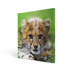 Холст квадратный с принтом Котёнок гепарда в Белгороде, 100% ПВХ |  | Тематика изображения на принте: гепард | дикая кошка | котёнок | кошка | лев | природа | тигр | хищник | ягуар