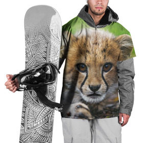 Накидка на куртку 3D с принтом Котёнок гепарда в Белгороде, 100% полиэстер |  | гепард | дикая кошка | котёнок | кошка | лев | природа | тигр | хищник | ягуар