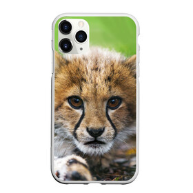 Чехол для iPhone 11 Pro матовый с принтом Котёнок гепарда в Белгороде, Силикон |  | гепард | дикая кошка | котёнок | кошка | лев | природа | тигр | хищник | ягуар