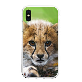 Чехол для iPhone XS Max матовый с принтом Котёнок гепарда в Белгороде, Силикон | Область печати: задняя сторона чехла, без боковых панелей | гепард | дикая кошка | котёнок | кошка | лев | природа | тигр | хищник | ягуар