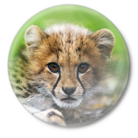 Значок с принтом Котёнок гепарда в Белгороде,  металл | круглая форма, металлическая застежка в виде булавки | Тематика изображения на принте: гепард | дикая кошка | котёнок | кошка | лев | природа | тигр | хищник | ягуар