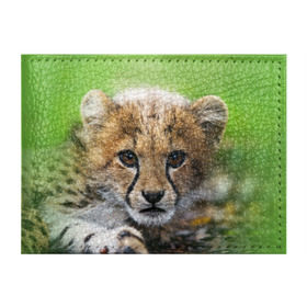 Обложка для студенческого билета с принтом Котёнок гепарда в Белгороде, натуральная кожа | Размер: 11*8 см; Печать на всей внешней стороне | гепард | дикая кошка | котёнок | кошка | лев | природа | тигр | хищник | ягуар
