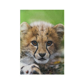 Обложка для паспорта матовая кожа с принтом Котёнок гепарда в Белгороде, натуральная матовая кожа | размер 19,3 х 13,7 см; прозрачные пластиковые крепления | Тематика изображения на принте: гепард | дикая кошка | котёнок | кошка | лев | природа | тигр | хищник | ягуар