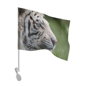 Флаг для автомобиля с принтом Белый тигр в Белгороде, 100% полиэстер | Размер: 30*21 см | абессинкая | домашние | животные | кот | котенок | кошка | порода | сиамская | тигр | хищник
