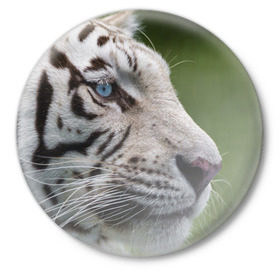 Значок с принтом Белый тигр в Белгороде,  металл | круглая форма, металлическая застежка в виде булавки | Тематика изображения на принте: абессинкая | домашние | животные | кот | котенок | кошка | порода | сиамская | тигр | хищник