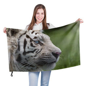 Флаг 3D с принтом Белый тигр в Белгороде, 100% полиэстер | плотность ткани — 95 г/м2, размер — 67 х 109 см. Принт наносится с одной стороны | абессинкая | домашние | животные | кот | котенок | кошка | порода | сиамская | тигр | хищник