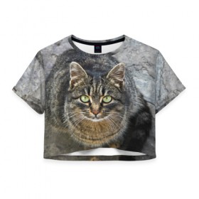 Женская футболка 3D укороченная с принтом Серый котик в Белгороде, 100% полиэстер | круглая горловина, длина футболки до линии талии, рукава с отворотами | 