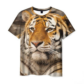 Мужская футболка 3D с принтом Тигр в Белгороде, 100% полиэфир | прямой крой, круглый вырез горловины, длина до линии бедер | амурский | животные | киса | кот | котенок | кошка | пума | рысь | серый | тигр | хищник