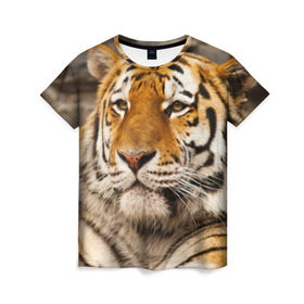 Женская футболка 3D с принтом Тигр в Белгороде, 100% полиэфир ( синтетическое хлопкоподобное полотно) | прямой крой, круглый вырез горловины, длина до линии бедер | амурский | животные | киса | кот | котенок | кошка | пума | рысь | серый | тигр | хищник