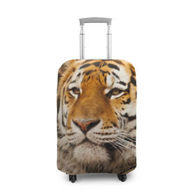 Чехол для чемодана 3D с принтом Тигр в Белгороде, 86% полиэфир, 14% спандекс | двустороннее нанесение принта, прорези для ручек и колес | амурский | животные | киса | кот | котенок | кошка | пума | рысь | серый | тигр | хищник