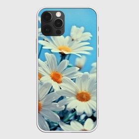 Чехол для iPhone 12 Pro Max с принтом Ромашки в Белгороде, Силикон |  | flower | цветы
