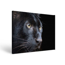 Холст прямоугольный с принтом Черная пантера в Белгороде, 100% ПВХ |  | Тематика изображения на принте: животные | кис | киска | кот | котенок | котик | кошечка | кошка | пантера | рысь | тигр | хищник