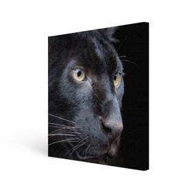 Холст квадратный с принтом Черная пантера в Белгороде, 100% ПВХ |  | животные | кис | киска | кот | котенок | котик | кошечка | кошка | пантера | рысь | тигр | хищник