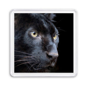Магнит 55*55 с принтом Черная пантера в Белгороде, Пластик | Размер: 65*65 мм; Размер печати: 55*55 мм | Тематика изображения на принте: животные | кис | киска | кот | котенок | котик | кошечка | кошка | пантера | рысь | тигр | хищник