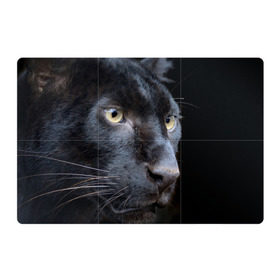 Магнитный плакат 3Х2 с принтом Черная пантера в Белгороде, Полимерный материал с магнитным слоем | 6 деталей размером 9*9 см | животные | кис | киска | кот | котенок | котик | кошечка | кошка | пантера | рысь | тигр | хищник