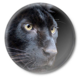 Значок с принтом Черная пантера в Белгороде,  металл | круглая форма, металлическая застежка в виде булавки | животные | кис | киска | кот | котенок | котик | кошечка | кошка | пантера | рысь | тигр | хищник