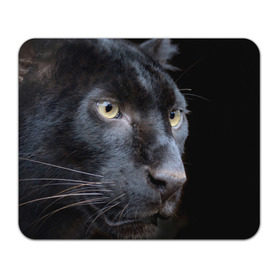 Коврик прямоугольный с принтом Черная пантера в Белгороде, натуральный каучук | размер 230 х 185 мм; запечатка лицевой стороны | животные | кис | киска | кот | котенок | котик | кошечка | кошка | пантера | рысь | тигр | хищник