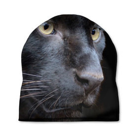 Шапка 3D с принтом Черная пантера в Белгороде, 100% полиэстер | универсальный размер, печать по всей поверхности изделия | животные | кис | киска | кот | котенок | котик | кошечка | кошка | пантера | рысь | тигр | хищник