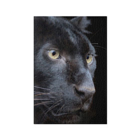 Обложка для паспорта матовая кожа с принтом Черная пантера в Белгороде, натуральная матовая кожа | размер 19,3 х 13,7 см; прозрачные пластиковые крепления | животные | кис | киска | кот | котенок | котик | кошечка | кошка | пантера | рысь | тигр | хищник