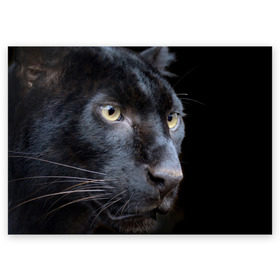 Поздравительная открытка с принтом Черная пантера в Белгороде, 100% бумага | плотность бумаги 280 г/м2, матовая, на обратной стороне линовка и место для марки
 | животные | кис | киска | кот | котенок | котик | кошечка | кошка | пантера | рысь | тигр | хищник