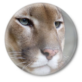 Значок с принтом Пума в Белгороде,  металл | круглая форма, металлическая застежка в виде булавки | животные | кис | киска | кот | котенок | котик | кошечка | кошка | львиц | пантера | пума | рысь | хищник