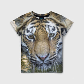 Детская футболка 3D с принтом Тигр в Белгороде, 100% гипоаллергенный полиэфир | прямой крой, круглый вырез горловины, длина до линии бедер, чуть спущенное плечо, ткань немного тянется | Тематика изображения на принте: животные | кошка | лев | тигр | тигренок | тигрица | хищник