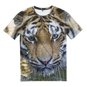 Мужская футболка 3D с принтом Тигр в Белгороде, 100% полиэфир | прямой крой, круглый вырез горловины, длина до линии бедер | животные | кошка | лев | тигр | тигренок | тигрица | хищник