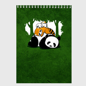 Скетчбук с принтом Милая панда в Белгороде, 100% бумага
 | 48 листов, плотность листов — 100 г/м2, плотность картонной обложки — 250 г/м2. Листы скреплены сверху удобной пружинной спиралью | большая | джунгли | енот | зайка | милая | панда | пушистая