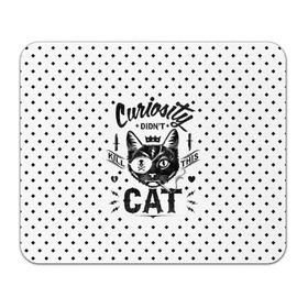 Коврик прямоугольный с принтом Curiosity Cat в Белгороде, натуральный каучук | размер 230 х 185 мм; запечатка лицевой стороны | animal | beast | cat | feline | gangsta | kill | king | kitty | meow | nature | гангстер | животное | зверь | король | кот | котенок | котик | кошка | мяу | природа