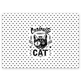 Поздравительная открытка с принтом Curiosity Cat в Белгороде, 100% бумага | плотность бумаги 280 г/м2, матовая, на обратной стороне линовка и место для марки
 | Тематика изображения на принте: animal | beast | cat | feline | gangsta | kill | king | kitty | meow | nature | гангстер | животное | зверь | король | кот | котенок | котик | кошка | мяу | природа