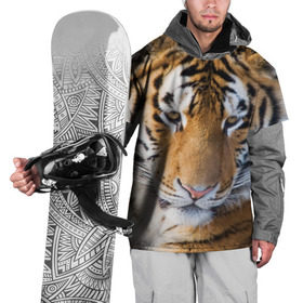 Накидка на куртку 3D с принтом Тигр в Белгороде, 100% полиэстер |  | амурский | животные | киса | кот | котенок | кошка | пума | рысь | серый | тигр | хищник