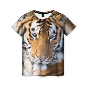 Женская футболка 3D с принтом Тигр в Белгороде, 100% полиэфир ( синтетическое хлопкоподобное полотно) | прямой крой, круглый вырез горловины, длина до линии бедер | амурский | животные | киса | кот | котенок | кошка | пума | рысь | серый | тигр | хищник