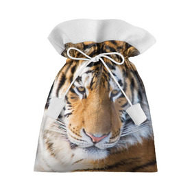 Подарочный 3D мешок с принтом Тигр в Белгороде, 100% полиэстер | Размер: 29*39 см | Тематика изображения на принте: амурский | животные | киса | кот | котенок | кошка | пума | рысь | серый | тигр | хищник