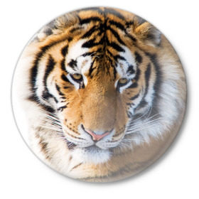 Значок с принтом Тигр в Белгороде,  металл | круглая форма, металлическая застежка в виде булавки | Тематика изображения на принте: амурский | животные | киса | кот | котенок | кошка | пума | рысь | серый | тигр | хищник