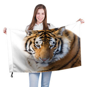 Флаг 3D с принтом Тигр в Белгороде, 100% полиэстер | плотность ткани — 95 г/м2, размер — 67 х 109 см. Принт наносится с одной стороны | амурский | животные | киса | кот | котенок | кошка | пума | рысь | серый | тигр | хищник
