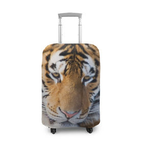 Чехол для чемодана 3D с принтом Тигр в Белгороде, 86% полиэфир, 14% спандекс | двустороннее нанесение принта, прорези для ручек и колес | амурский | животные | киса | кот | котенок | кошка | пума | рысь | серый | тигр | хищник
