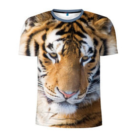 Мужская футболка 3D спортивная с принтом Тигр в Белгороде, 100% полиэстер с улучшенными характеристиками | приталенный силуэт, круглая горловина, широкие плечи, сужается к линии бедра | Тематика изображения на принте: амурский | животные | киса | кот | котенок | кошка | пума | рысь | серый | тигр | хищник