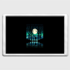 Магнит 45*70 с принтом Ночная природа в Белгороде, Пластик | Размер: 78*52 мм; Размер печати: 70*45 | forest | lake | moon | nature | night | star | wood | звезды | лес | луна | ночь | озеро | природа