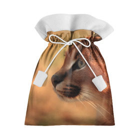 Подарочный 3D мешок с принтом Рысь в Белгороде, 100% полиэстер | Размер: 29*39 см | амурский | животные | киса | кот | котенок | кошка | пума | рысь | серый | тигр | хищник