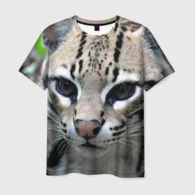 Мужская футболка 3D с принтом Дикая кошка в Белгороде, 100% полиэфир | прямой крой, круглый вырез горловины, длина до линии бедер | амурский | животные | киса | кот | котенок | кошка | лев | львица | пума | рысь | серый | тигр | хищник