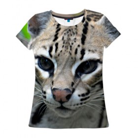 Женская футболка 3D с принтом Дикая кошка в Белгороде, 100% полиэфир ( синтетическое хлопкоподобное полотно) | прямой крой, круглый вырез горловины, длина до линии бедер | амурский | животные | киса | кот | котенок | кошка | лев | львица | пума | рысь | серый | тигр | хищник