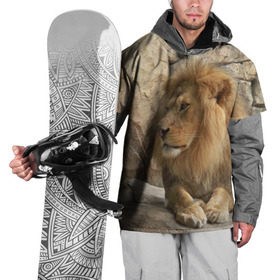 Накидка на куртку 3D с принтом Лев в Белгороде, 100% полиэстер |  | амурский | животные | киса | кот | котенок | кошка | лев | львица | пума | рысь | серый | тигр | хищник